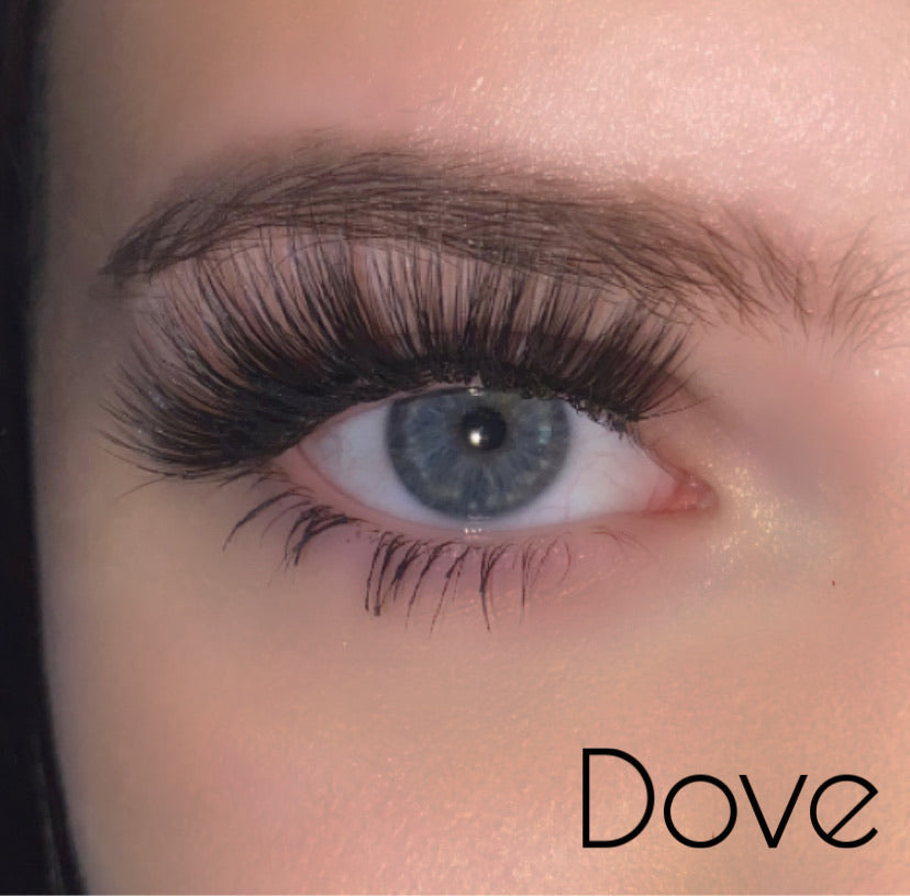 Dove - Wimpern